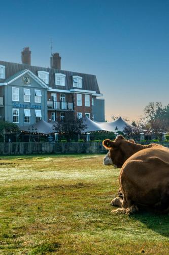 Balmer Lawn - Hotel - Brockenhurst