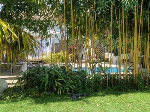 La Balinaise Chambre indépendante avec jardin et piscine proche Chantilly, PARC ASTERIX et gare TER pour PARIS en 19min, à 15 min de Roissy CDG