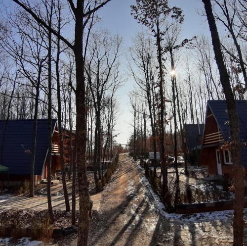 STANET Forest Houses