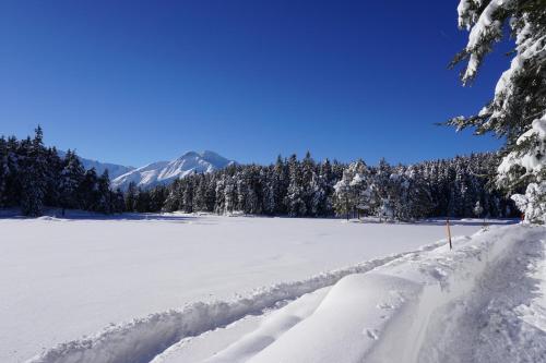 Hotel Pension Tyrol - image 7
