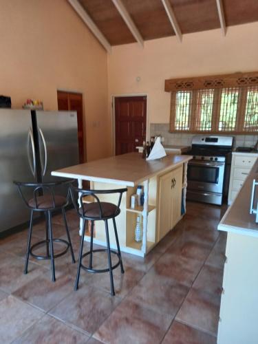 Robyns nest in Lower Woburn