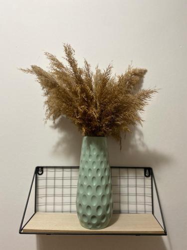 Παροχές, Boulevard Mitrovica in Όμπιλιτς