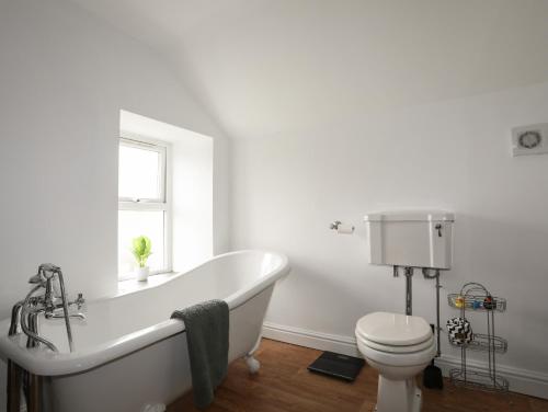 Maes Y Ddol Maes Y Ddol