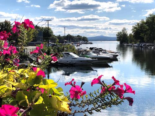 Studio sur le bord du lac Memphrémagog B