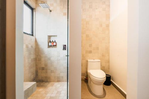 Olivo by Pardela in San Miguel de Allende, Mexico