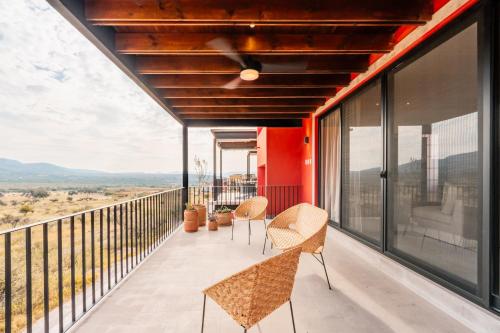 Olivo by Pardela in San Miguel de Allende, Mexico