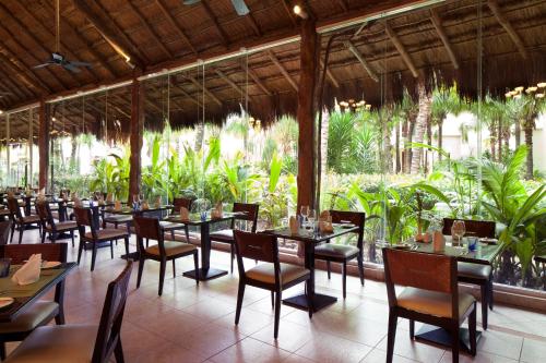 El Dorado Seaside Suites Catamarán, Cenote & More Inclusive in Akumal, Mexico