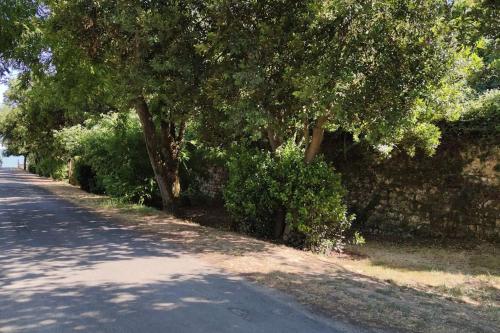 Joli studio près de la mer avec extérieur Joli studio près de la mer avec extérieur