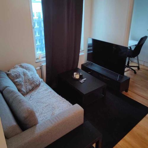 Fully Furnished Modern Apartment