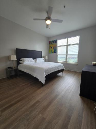 2bdrm/2 King beds/1Air mattress in Dallas, USA
