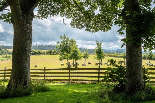A szálláshely kívülről, Marcassie Farm Lodges - Willow Studio in Forres