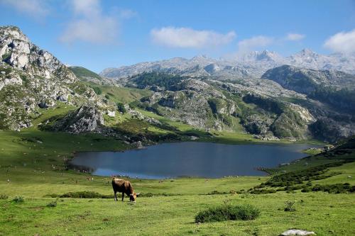 Cottage les hôtes Pyrénées