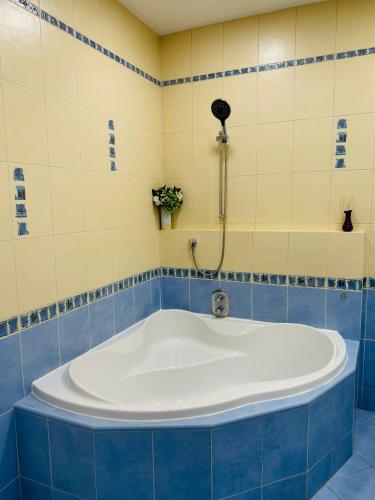 Maiselova Old Town Apartment 5