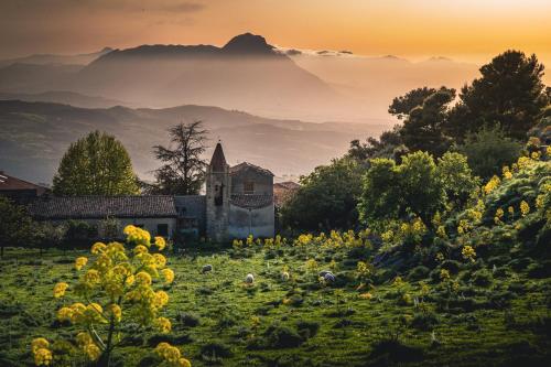 Don Bartolomeo Bellomo studio