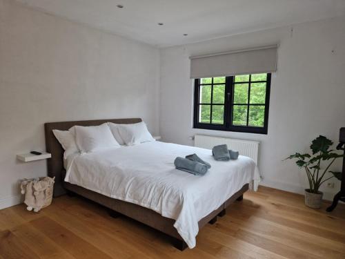 Villa Tibur - Near Boom & Rumst in 里特