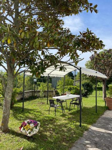 Chez Vittoria in Greccio