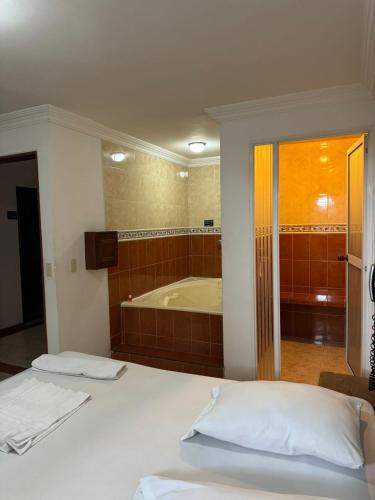Deluxe Junior Suite room in HOTEL PLAZA REAL SUR