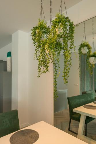 Fasiliteter, Home city hotspot, near city center and park in Roosendaal