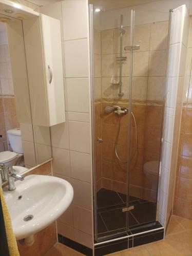 Bathroom, MAT ubytovani in Svinov