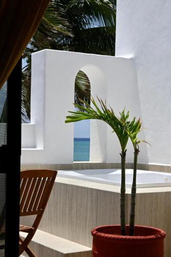 Pelicano Inn Playa del Carmen - Beachfront Hotel