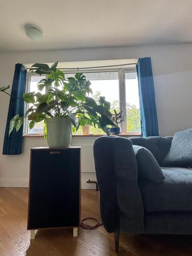 4 Peeps Charm Apartament in Williamsburg Brooklyn NYC in Union City, USA