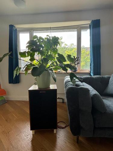 4 Peeps Charm Apartament in Williamsburg Brooklyn NYC in Union City, USA