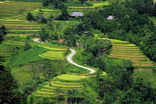 Tay Eco House in Nam Pi