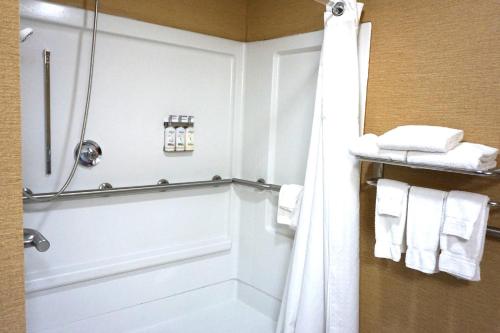 Standard King Room with Mobility Accessible Roll-In Shower