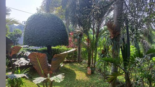 Penginapan Homestay Villa Pesona Alam Magelang Borobudur
