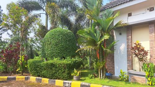 Penginapan Homestay Villa Pesona Alam Magelang Borobudur