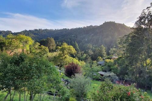 Sunny Mountain Temple in Mill Valley 17 min to SF