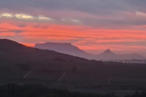 Devon View Olive Farm, Stellenbosch
