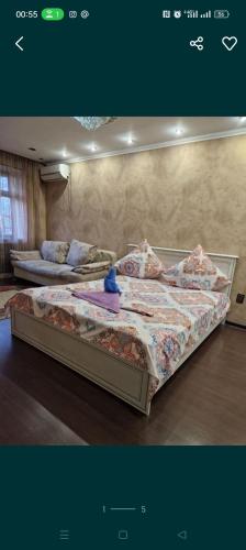 Квартира пасуточныи