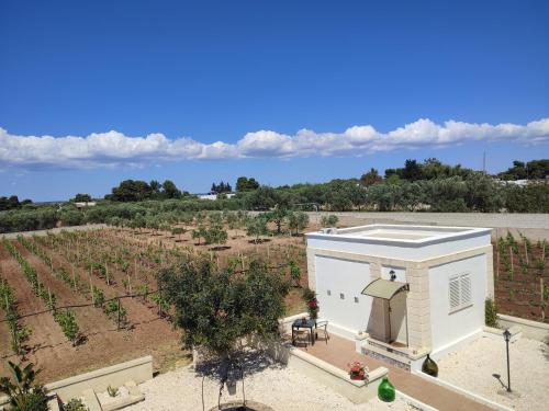 Le Anfore del Salento Bed and Breakfast 3