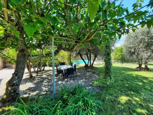 Il Tribbio vicino al paese piscina,oliveto,WiFi