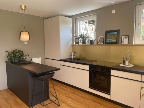 Kitchen, SONNENWEG Designwohnung mit Gartenblick in Plauen