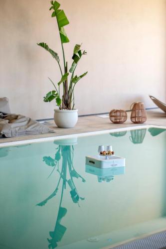 Resort Venere di Erice Hotel & Spa - image 12