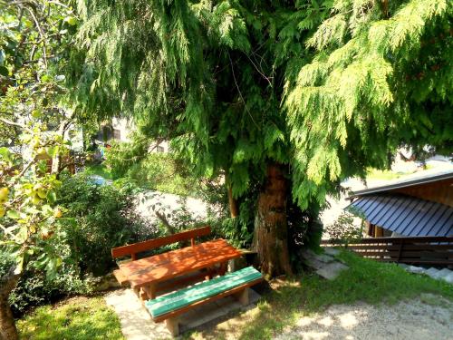V objemu gora in Srednja Vas V Bohinju