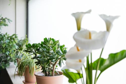 GuestReady - Modern Home In Gaia, Vila Nova de Gaia (Foto 9)