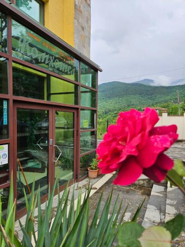 . Family Hotel Komhotel