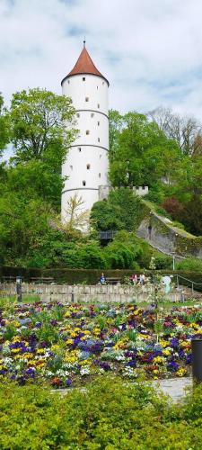 Wohnung Engelgasse in 里斯河畔比伯拉赫