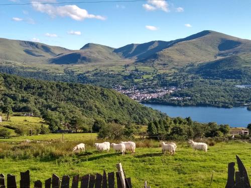 المنظر الخارجي, Fron Heulog Cottage in لانبرس