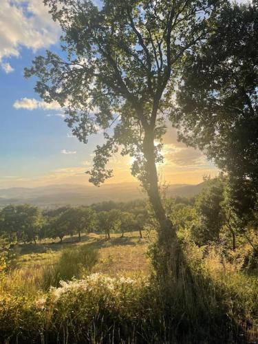 Casa Vista Maremma Tuscany