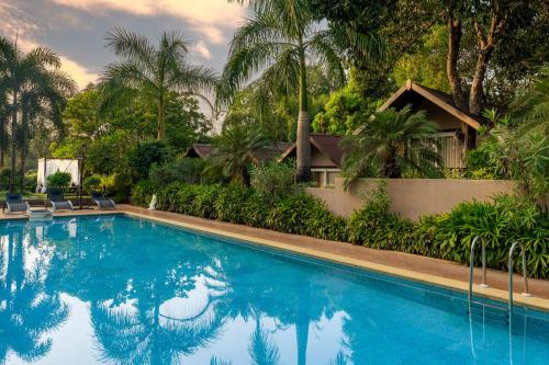 Swimming pool, Stone Wood Resort, Mandrem in Mandrem
