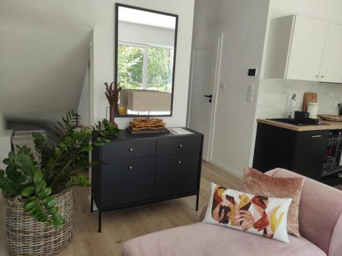 Źródlana Apartamenty - całoroczne domy na wyłączność