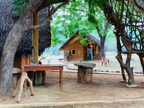 Yala Village Eco Tree House
