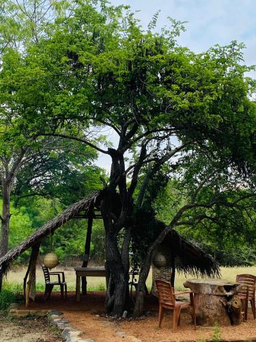 Surrounding environment, Yala Village Eco Tree House in Yala