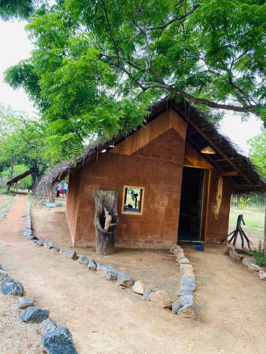 Yala Village Eco Tree House