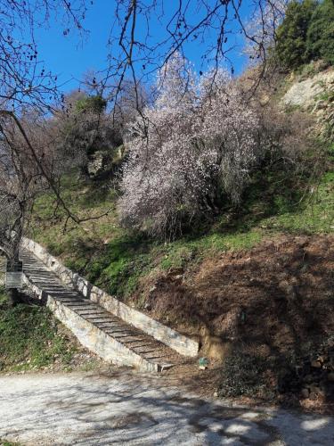 Μακρινίτσα Αλώνια, Makrinítsa (fotografie 3)