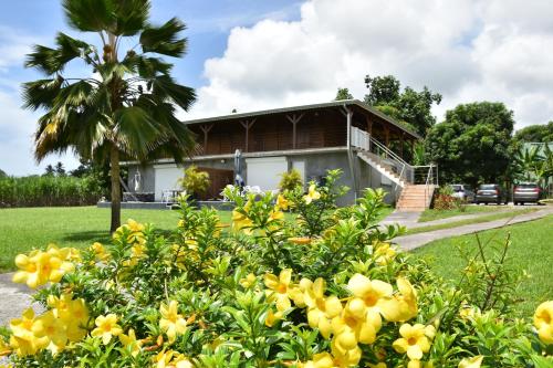 Haut de villa calme in Capesterre-Belle-Eau